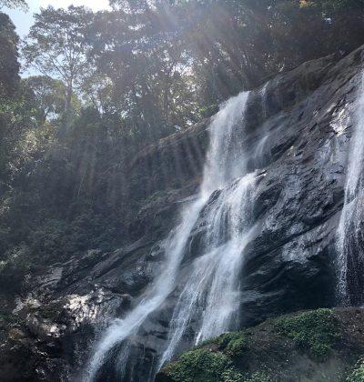 photo1jpg