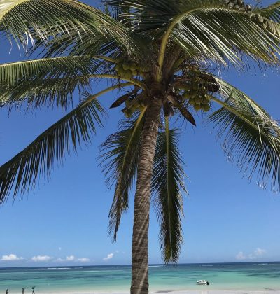 photo3jpg