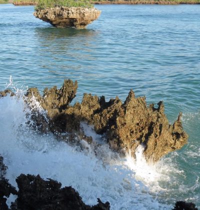 the-sands-at-chale-island (2)